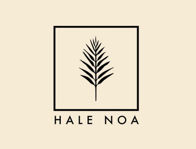 Hale Noa : Your authentic Maldivian surf retreat