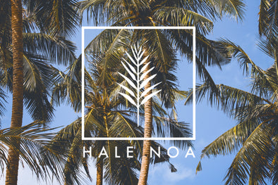 Hale Noa : Your authentic Maldivian surf retreat