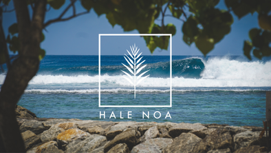 Hale Noa : Your authentic Maldivian surf retreat