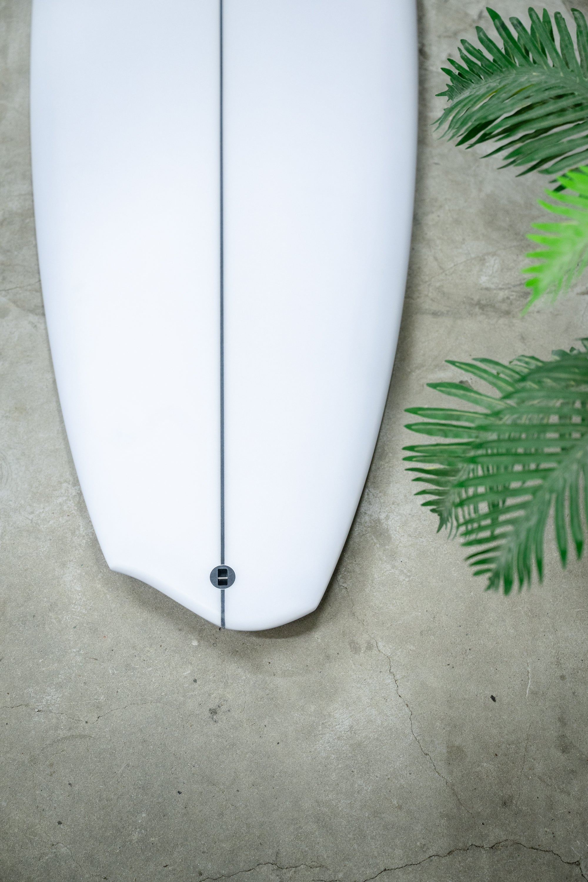 ALBUM Bom Dia Surf House Dubai album-bom-dia-surf-house-dubai