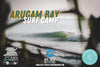 SRI LANKA SURF CAMP ARUGAM BAY MAY 2026 🇱🇰
