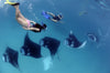 MALDIVES LIVEABOARD FREEDIVING / SNORKELING  TRIP WITH BLUE HORIZON 🇲🇻
