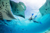 MALDIVES LIVEABOARD FREEDIVING / SNORKELING  TRIP WITH BLUE HORIZON 🇲🇻