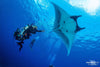 MALDIVES LIVEABOARD FREEDIVING / SNORKELING  TRIP WITH BLUE HORIZON 🇲🇻